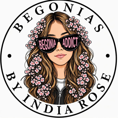Begoniaddict